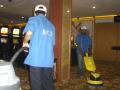 Carpet Shampooing - ALIBABA Club