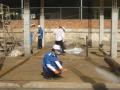Soil Treatment (Termite) - Mr. THAI Office Building