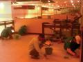 The Pizza Company - Outlet and Cool room, Main Office