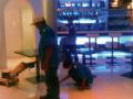 General Cleaning - SCOOP Bistro & Bar 
